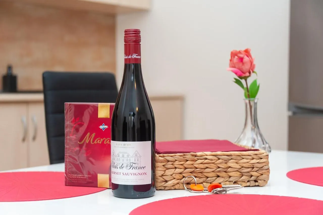 Luxury Apartment In The Center Of Praag